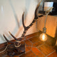 Lampe avec bois de cerf