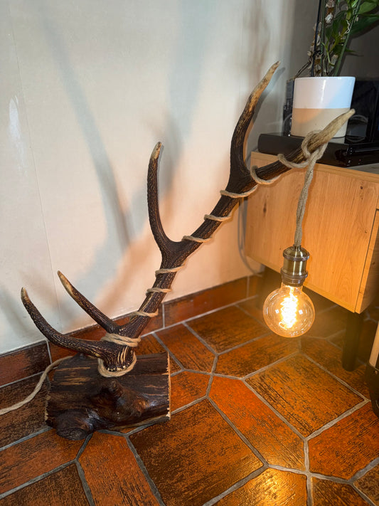 Lampe avec bois de cerf