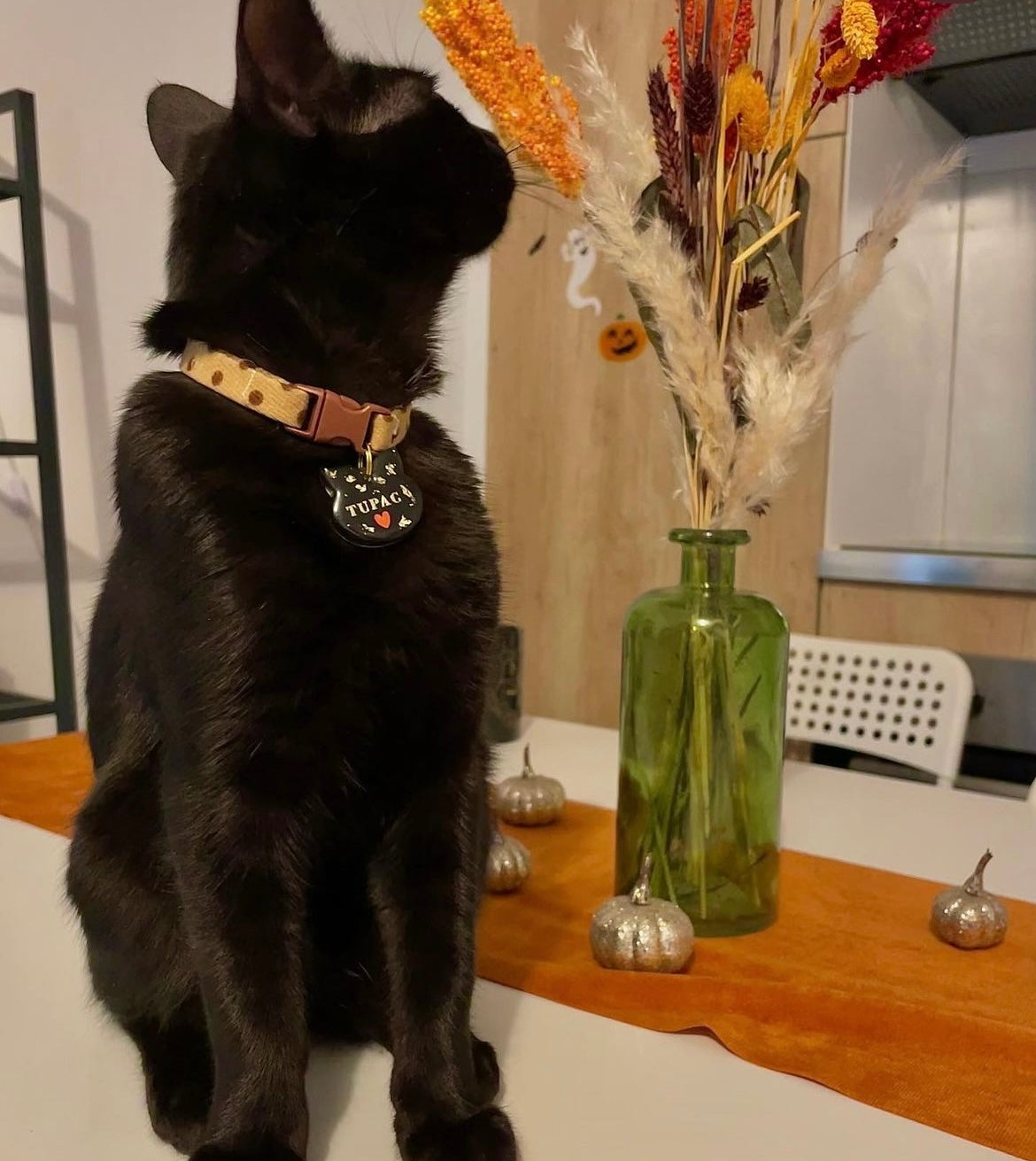 Médaille pour chat