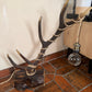 Lampe avec bois de cerf