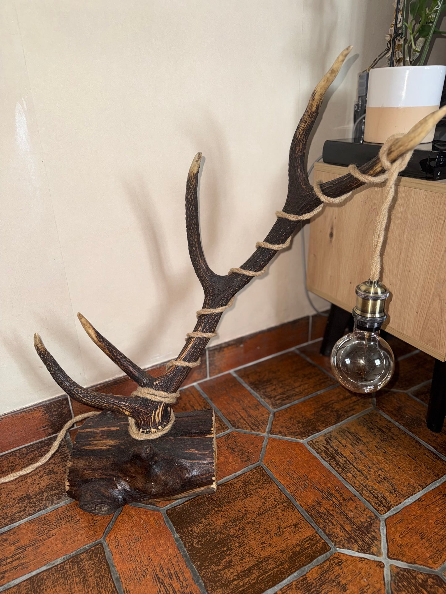 Lampe avec bois de cerf