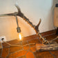 Lampe avec bois de cerf