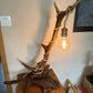 Lampe avec bois de cerf